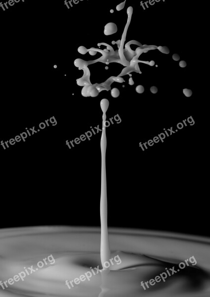 Drop Crown Milk Macro Impact Experiment