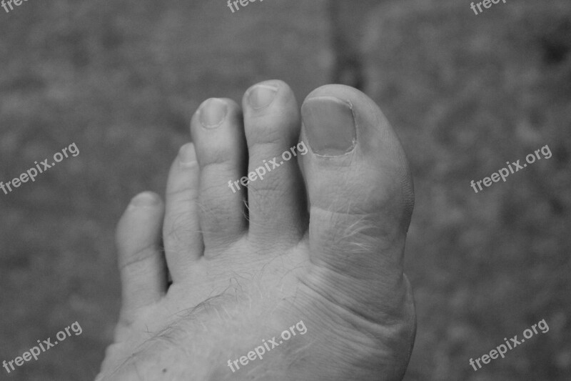 Foot Ten Black And White Close Up Free Photos