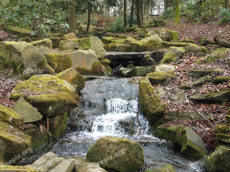 Stream Water Rocks Leaves Trees