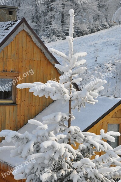 Winter Snow Spruce Mountains Cottage