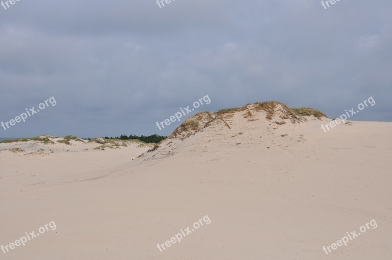 The Sand Dunes Moving Dunes The Mobile Dune Sand The Coast