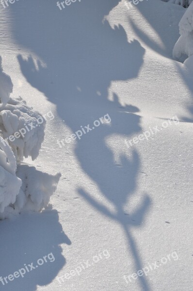 Winter Snow Mountains White Shadow