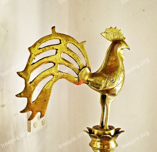 Oil Lamp Tradition Culture Sri Lankan Culture Blessings