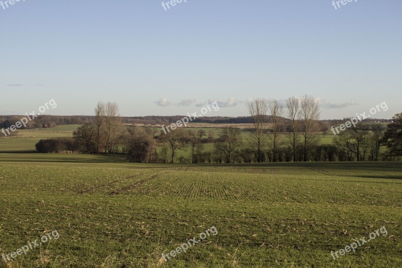 Landscape Nature Meadow Still Life Background