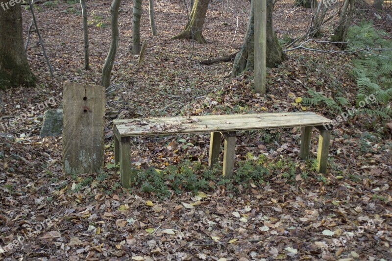 Wooden Bench Bank Nature Rest Peace