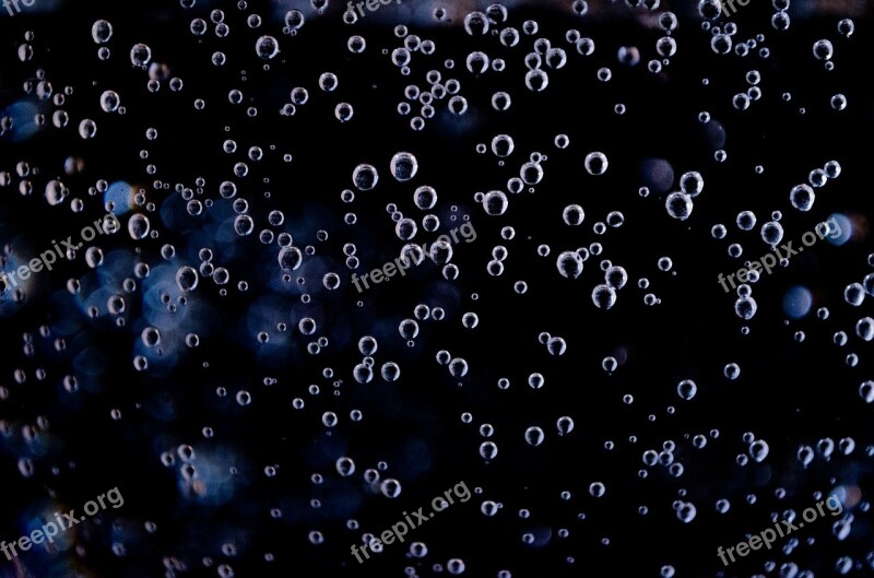 Bubbles Background Bubble Clean Clear