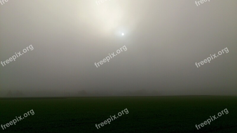 Fog Field Sun Trist Grey