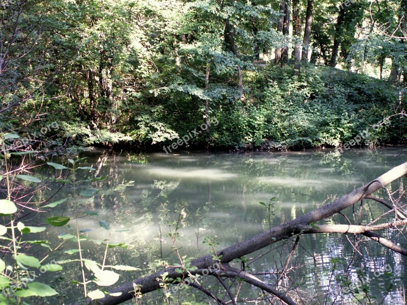 Vienna Park Pond Water Free Photos