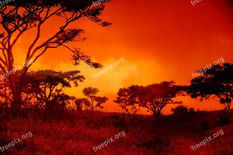 Sunset Africa Landscape Red Setting Sun