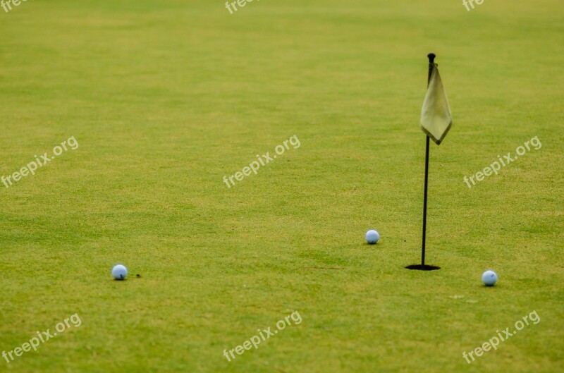 Golf Course Landscape Ball Balls