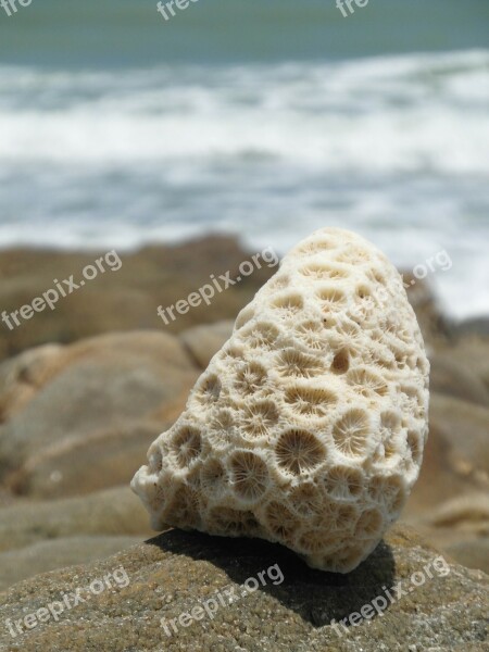 Pretty Coral Rocks Boulders Balance