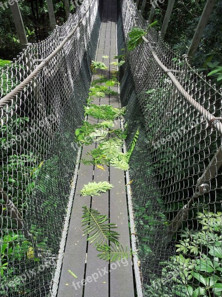 Bridge Hanging Bridge Soft Bridge Rope Bridge Way