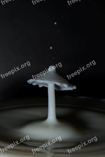 Drop Droplets Milk Milk Drop Focus