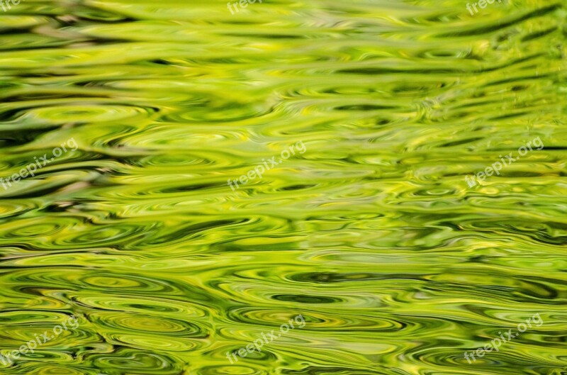 Water Background Pattern Green Close-up