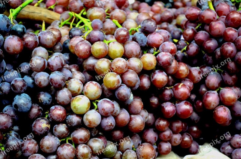 Food Fruit Grape Grapes Globe Grapes