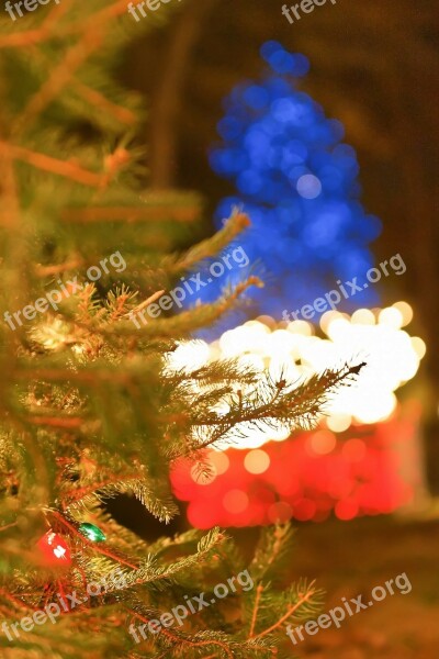 Awesome Beautiful Christmas Decor Christmas Tree Decor