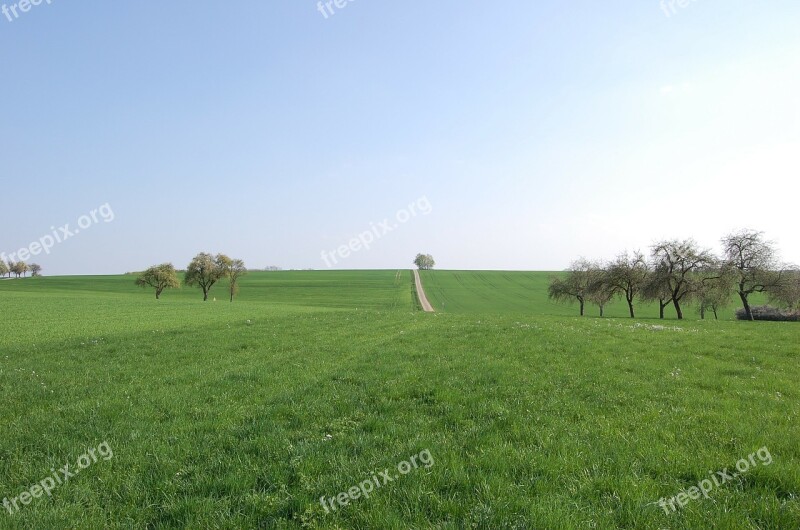 Away Tree Meadow Landscape Green