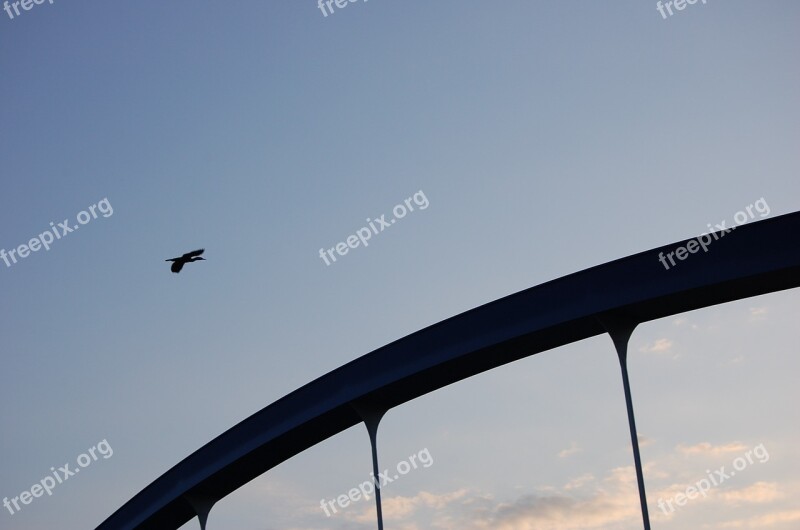 Heron Bird Sky Bridge River Free Photos