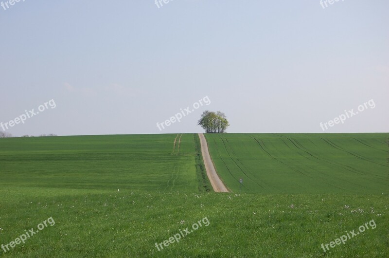 Away Tree Meadow Landscape Nature