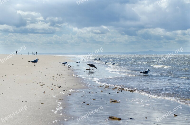 Sea Water Ocean Sky Blue