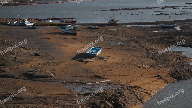 Asan Embankment Tidal Sea Free Photos