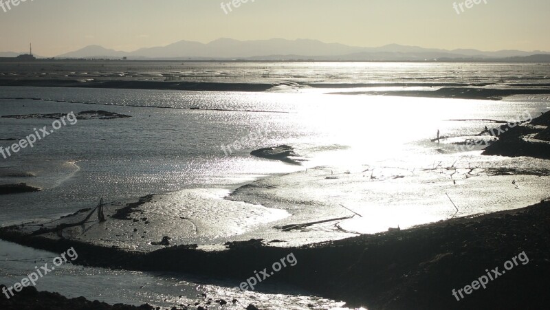 Asan Embankment Tidal Sea Free Photos