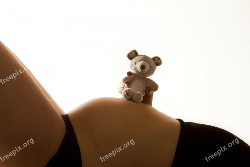 Baby Bump Pregnant Pregnancy Teddy