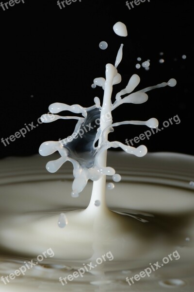 Drop Crown Milk Macro Impact