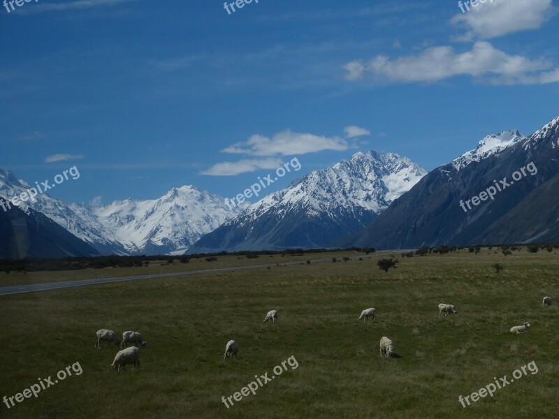 New Zealand Nature Landscape South Island Wilderness