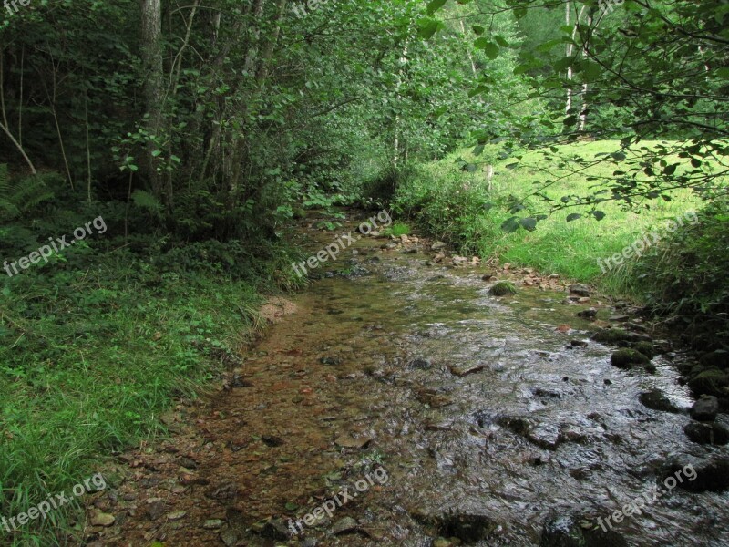 Creek Nature Field Free Photos