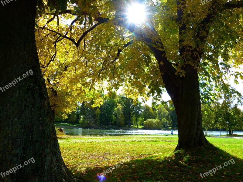 Autumn Mood Danube Autumn Light Sun