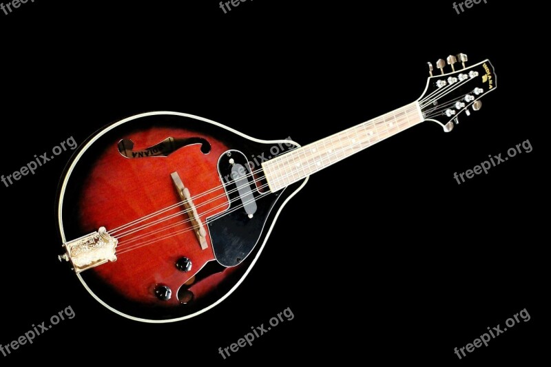 Strings Stringed Instrument Music Musical Instrument Mandolin