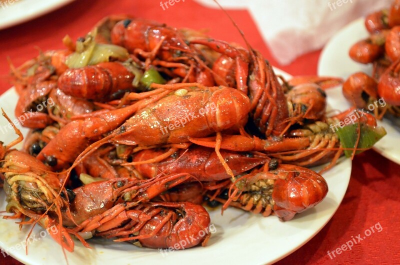 Crayfish Animals Food Crawdads Crustacean