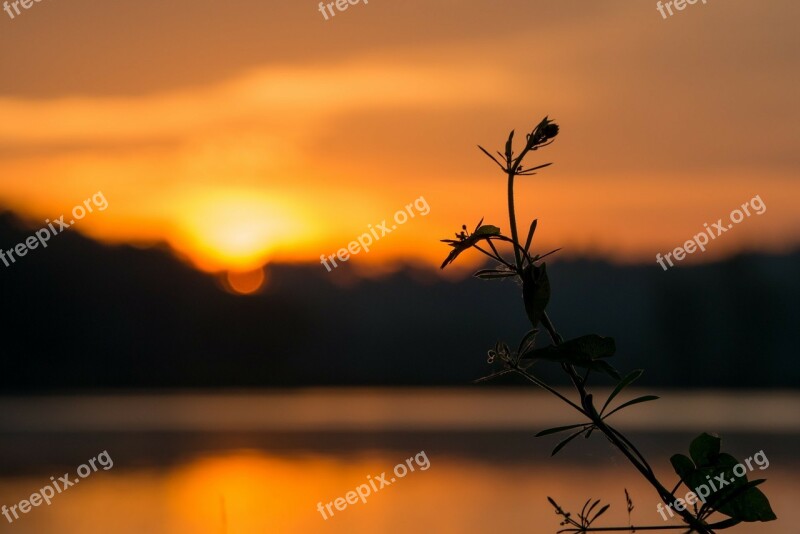 Sunrise Orange Clouds Sky Night