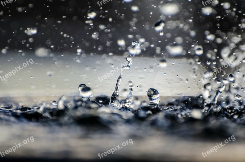 Water Drop Drop Macro Wet Nature