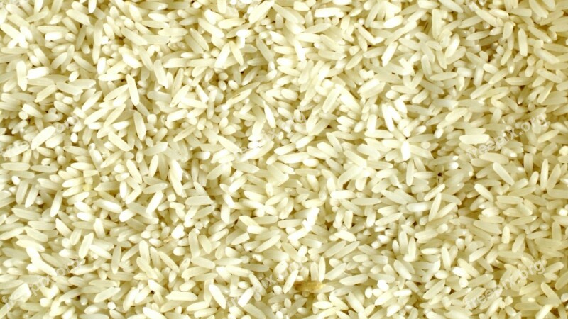 Rice Grain Grains Rice Indian Chinese