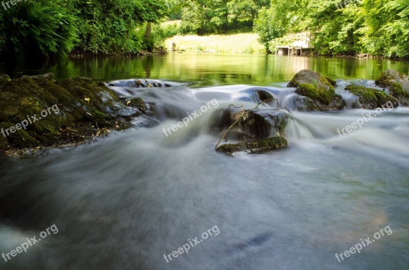 Water River Season Trees Tree