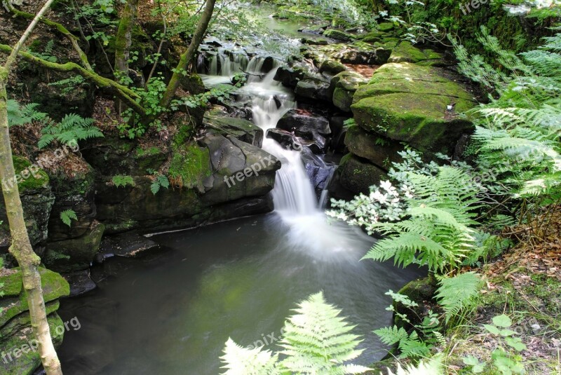 River Healey-dell Nature Water Stream