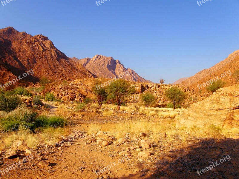 Shrubs Rocks Green Sand Cliffs