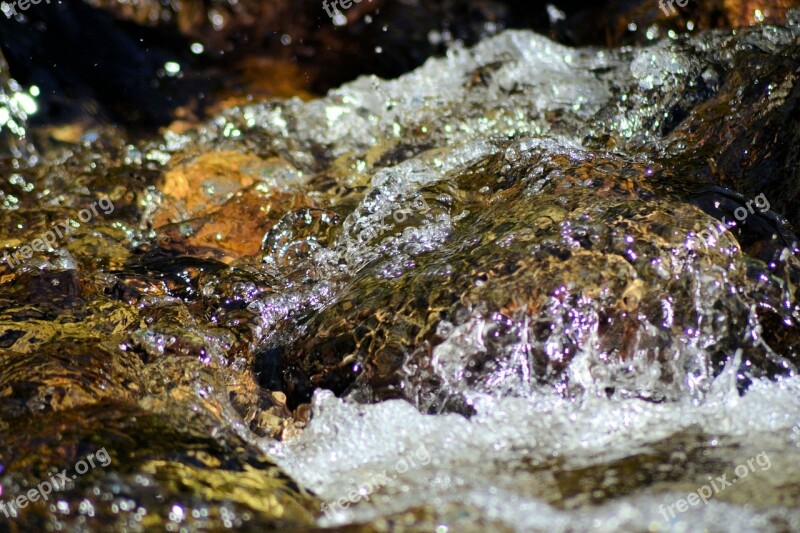 Creek Water Running Park Port Moody