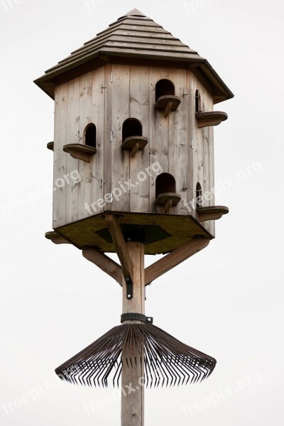 Dovecot Wooden House Pigeon Dove