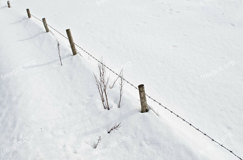 Snow Snowfall White Cold Seasons