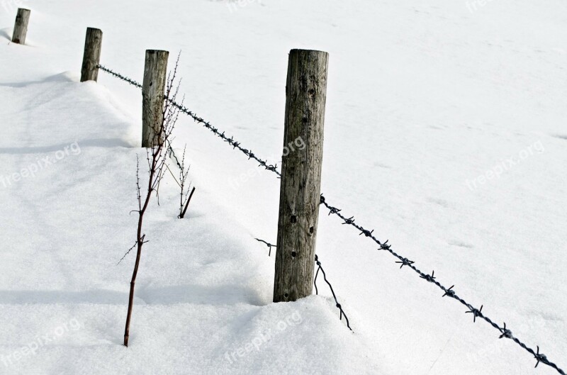 Snow Snowfall White Cold Seasons