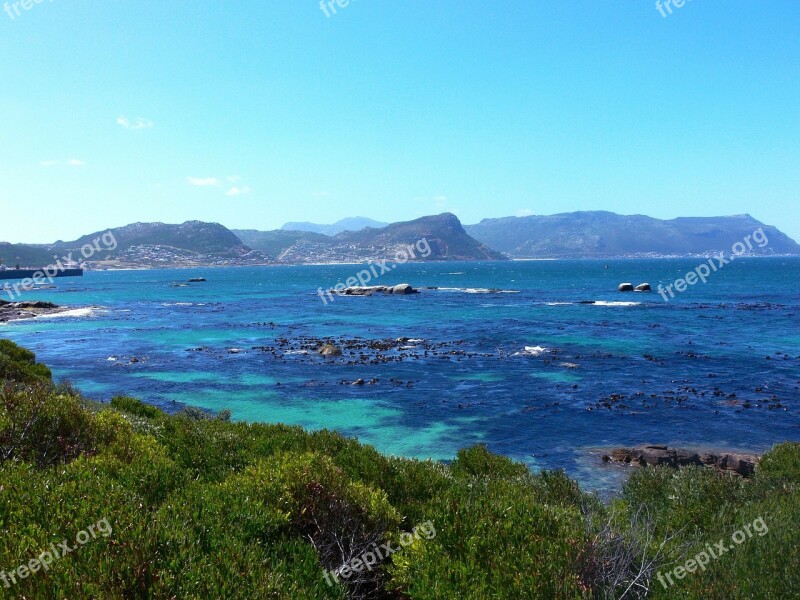 Seaweed Tropical Sea Beach Water