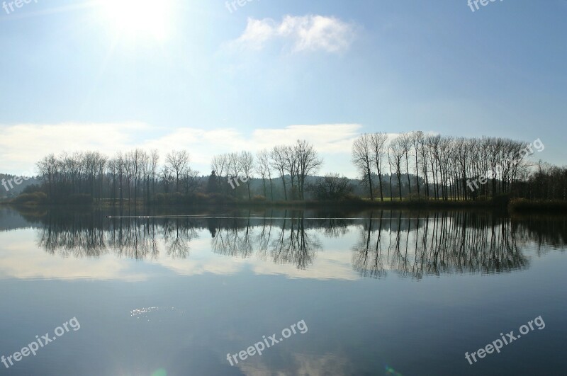 Spieglung Backlighting Water Tree Trees