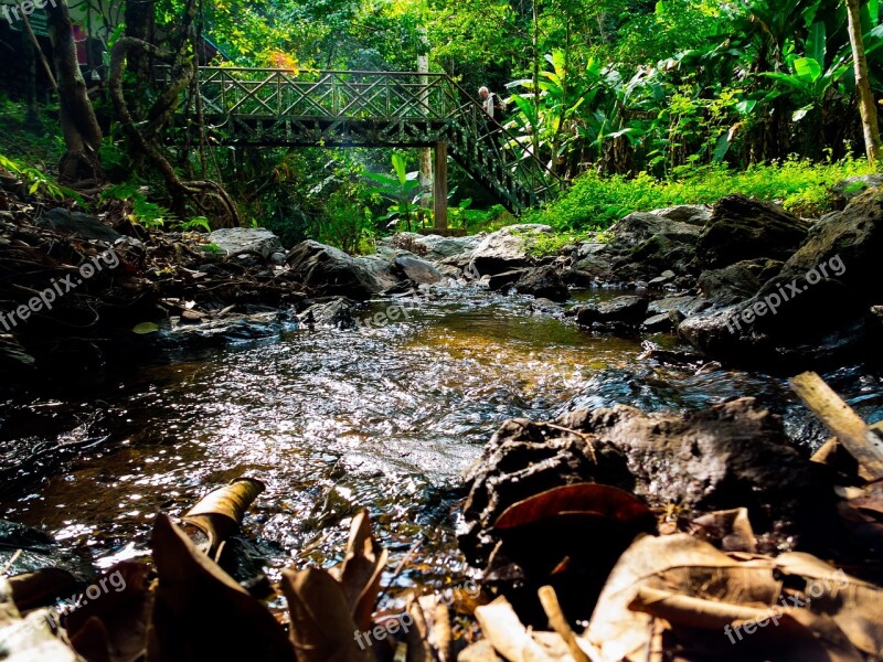 River Landscape Creek North Thailand Free Photos