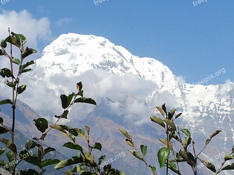 Nepal Tracking Annapurna Free Photos