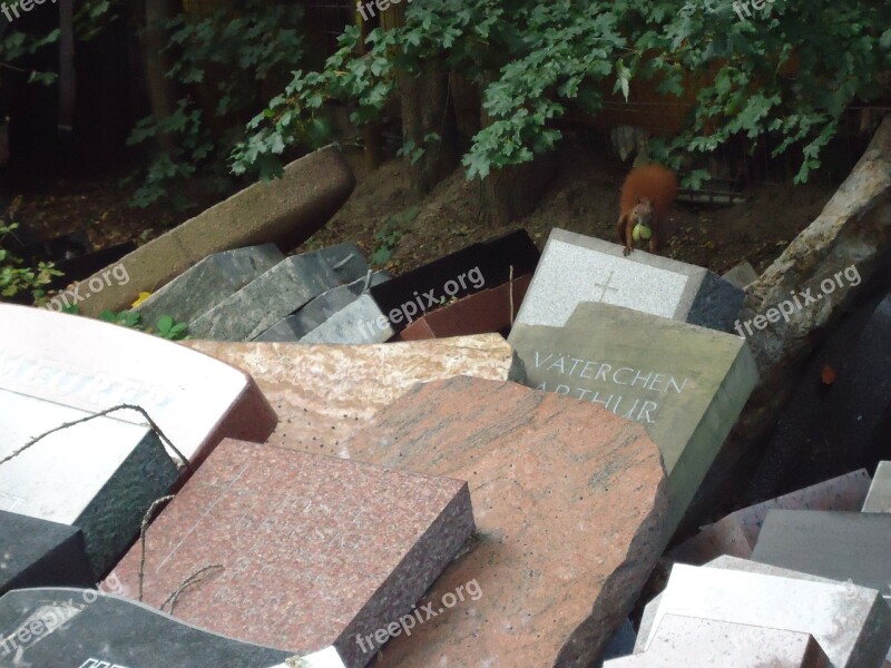 Squirrel Cemetery Tombstone Apple Mourning