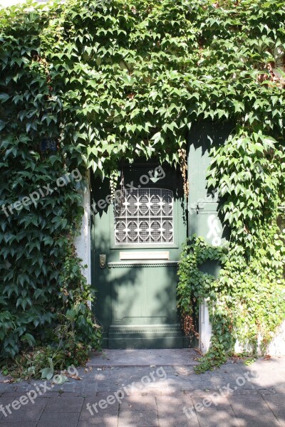 Door Front Door Shadow Input Plant