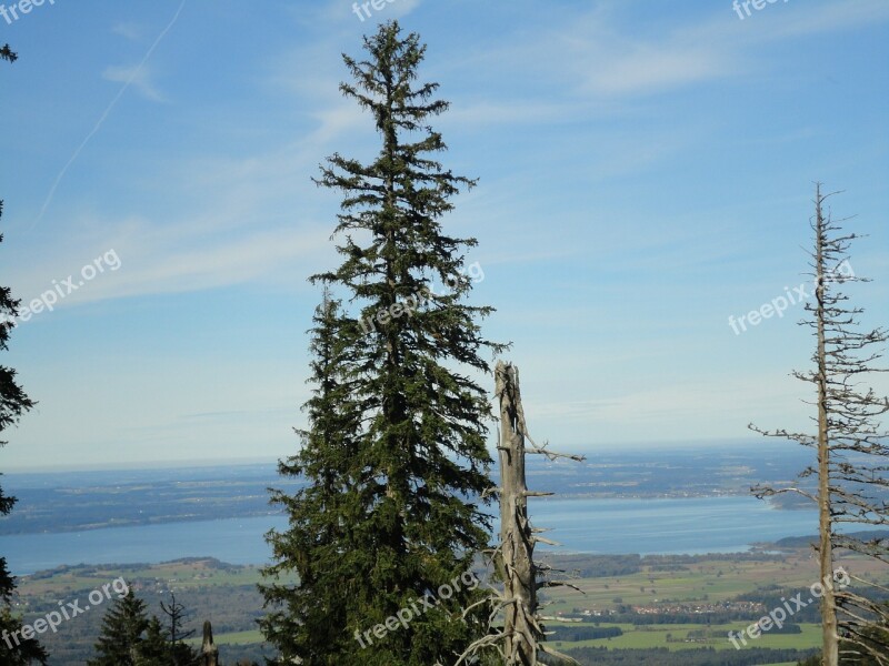 Spruce Mountains Alpine Hochfelln Chiemsee